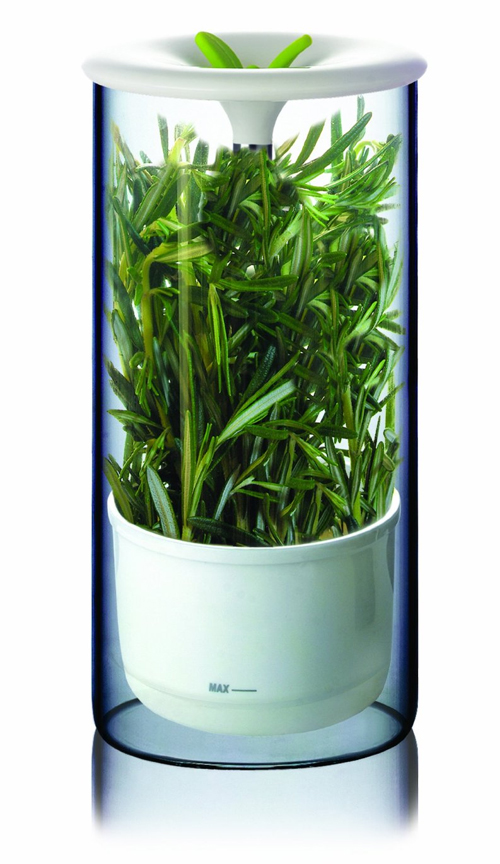 Art-and-Cook-Fresh-Herb-Keeper Art and Cook Fresh Herb Keeper